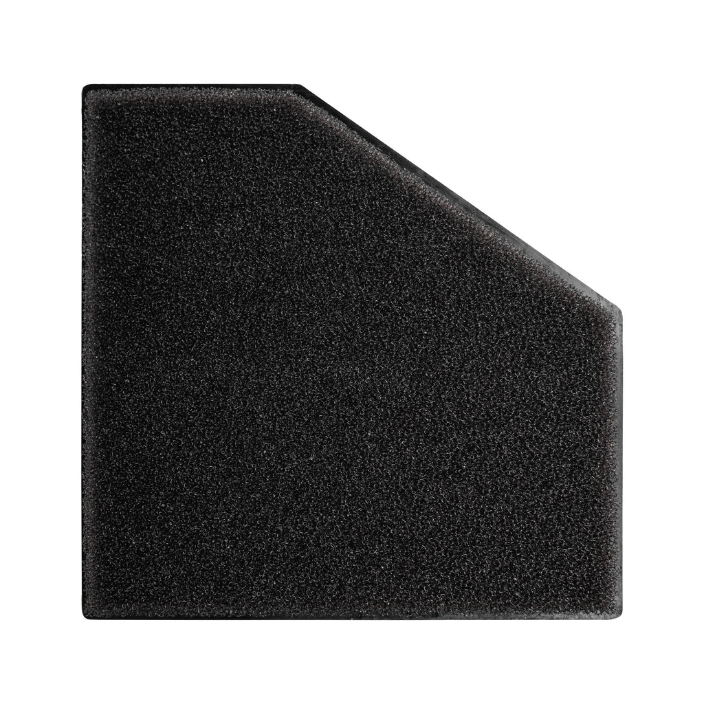 PP1979 2
