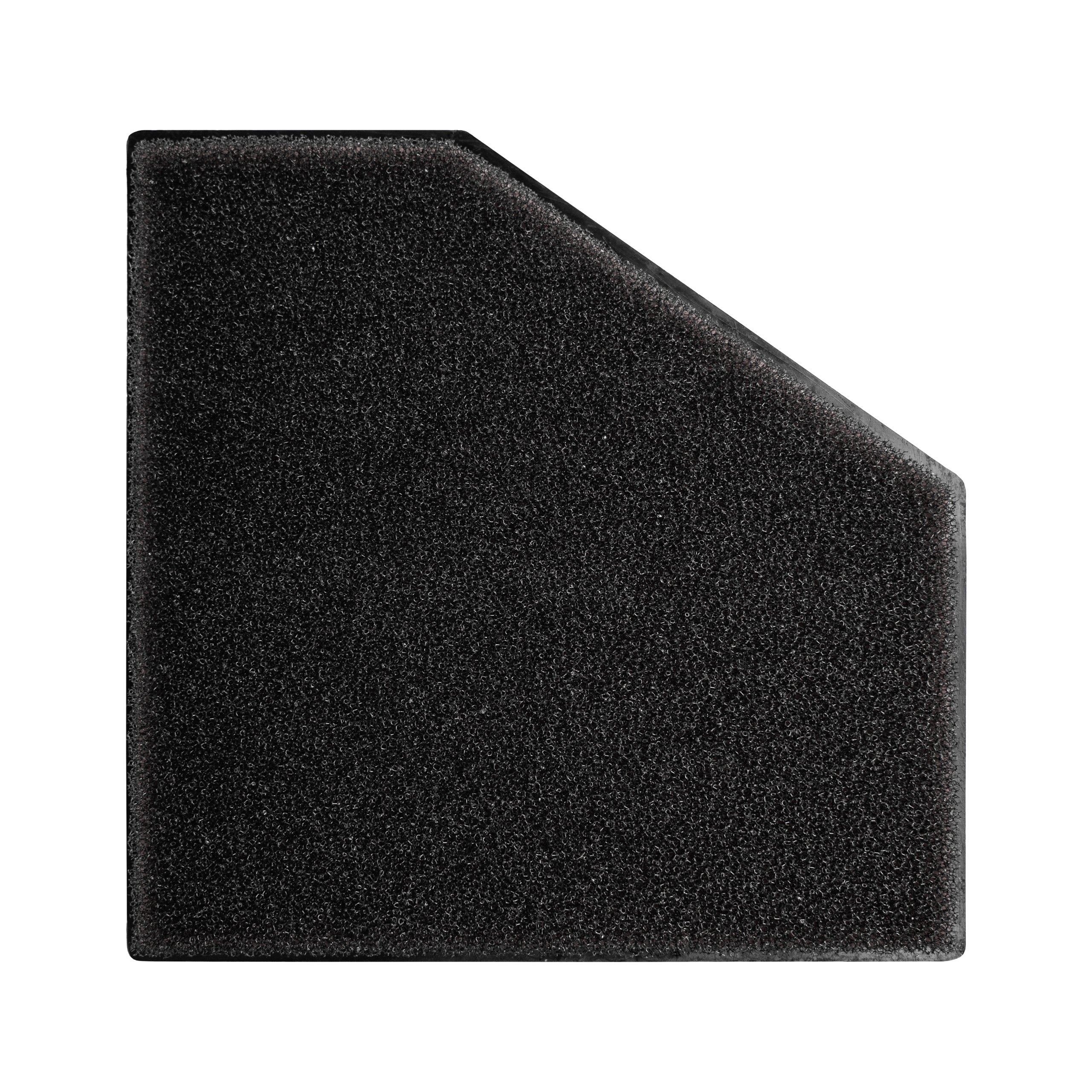PP1979 2